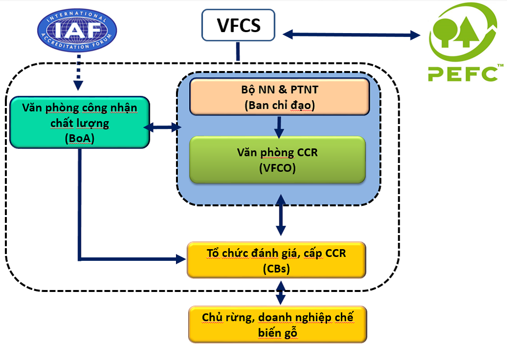 Chương trình chứng nhận rừng VFCS