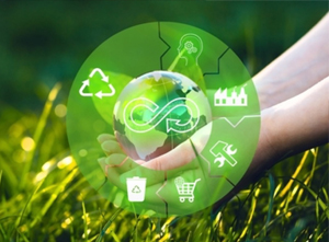 life cycle assessment 