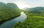 BUREAU VERITAS, KAYRROS AND OPTEL JOIN FORCES TO HELP COMPANIES REDUCE SUPPLY CHAIN-INDUCED DEFORESTATION
